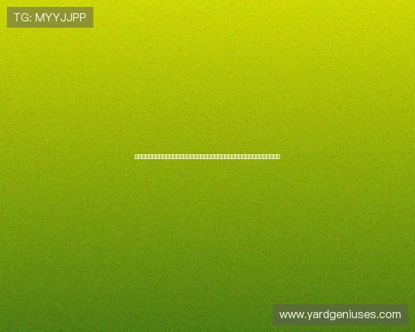 在凯发真人在线观看官网上享受全天候不间断的真人娱乐直播体验开启不一样的线上娱乐新体验 在凯发真人在线观看官网上享受全天候不间断的真人娱乐直播体验开启不一样的线上娱乐新体验