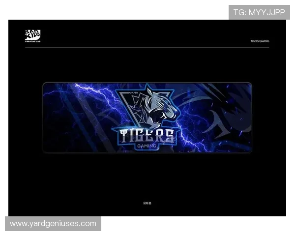 激活您的gaming体验,ag电竞官方下载官网全新升级 激活您的gaming体验,ag电竞官方下载官网全新升级