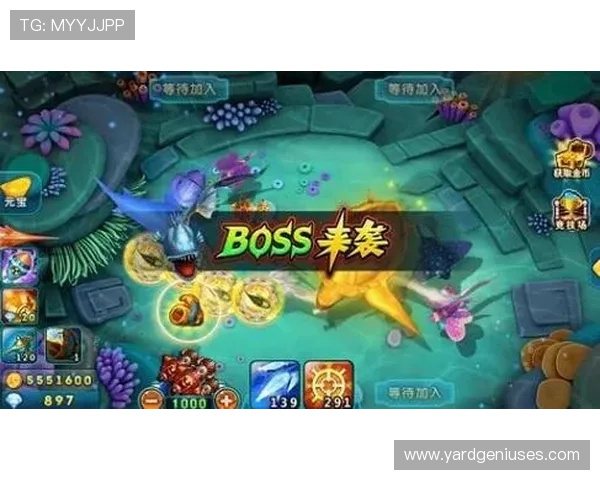 ag捕鱼稳赚方法新手必看提升捕鱼成功率的实用技巧 ag捕鱼稳赚方法新手必看提升捕鱼成功率的实用技巧