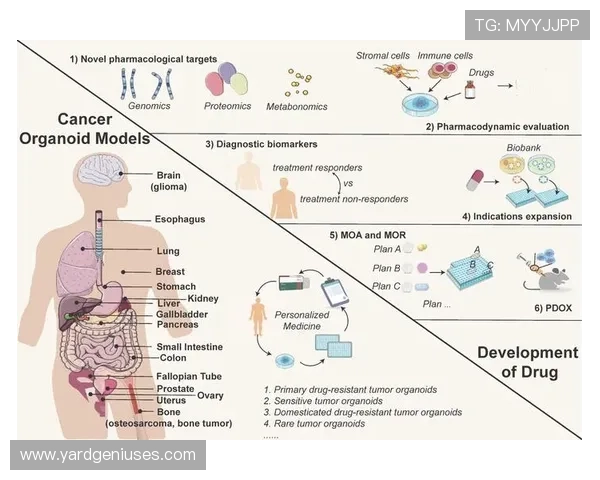 2024年AG竞咪厅行业政策变化及未来发展方向全面解析与行业专家深度解读
