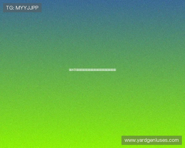 探索K8真人网页版最新功能，打造安全稳定的在线真人娱乐新体验