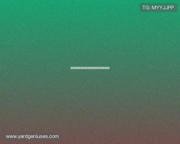 皇冠百家乐免费试玩体验，零风险感受真实游戏乐趣的方法