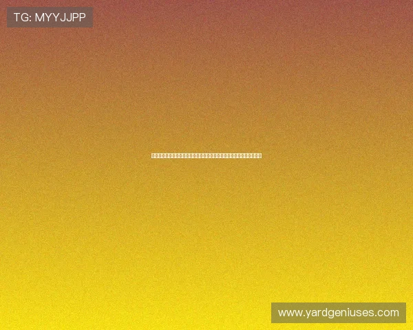 沙巴真人游戏完整版下载指南,详细步骤帮助新手快速上手体验精彩对战