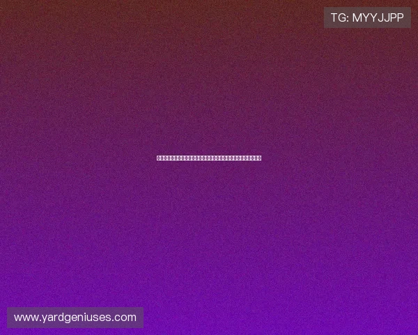 世界杯荷兰瑞典大名单公布:详细分析两队核心球员阵容与战术布局