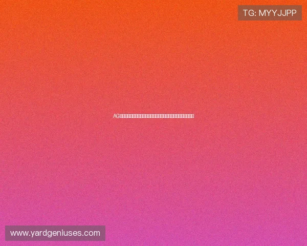 AG体育平台登录入口指南:畅享世界杯精彩赛事实时直播与最新资讯